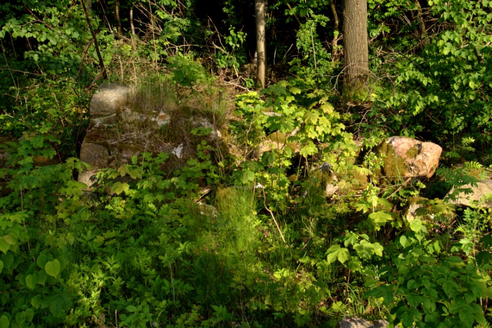 Oberlausitz 2012-05-26-7298