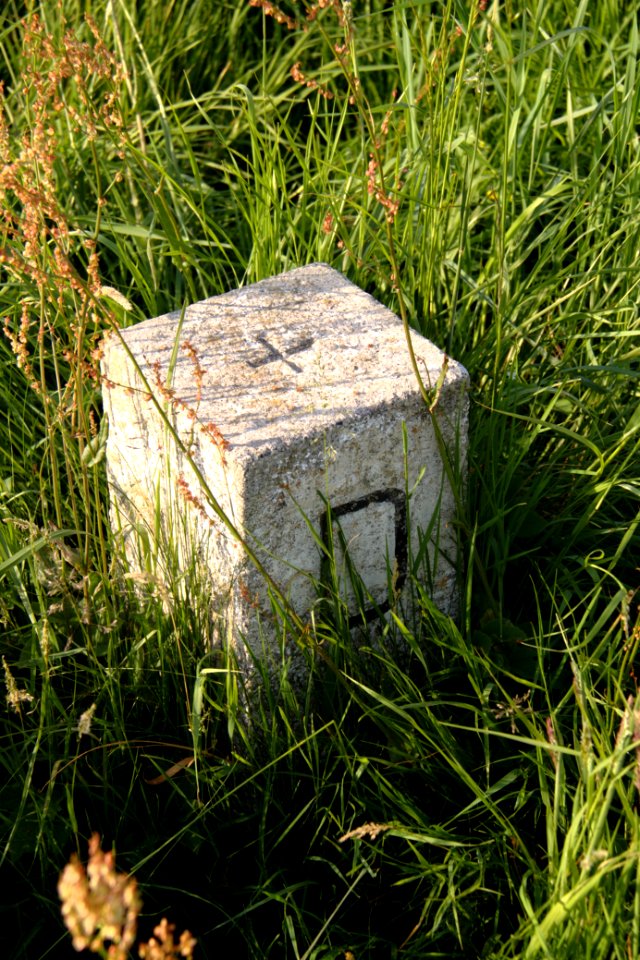 Oberlausitz 2012-05-26-7272