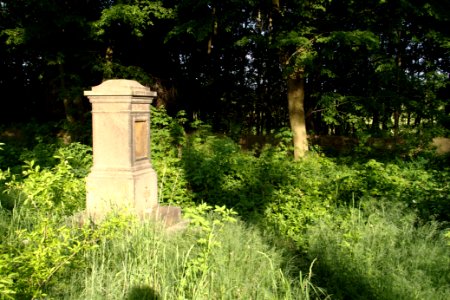 Oberlausitz 2012-05-26-7279