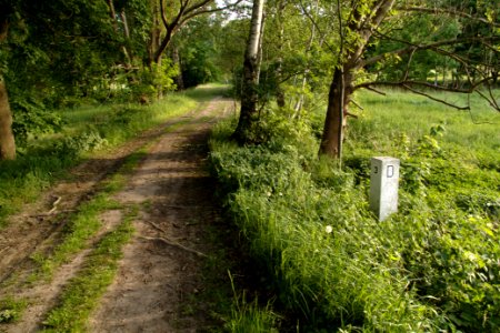 Oberlausitz 2012-05-26-7310
