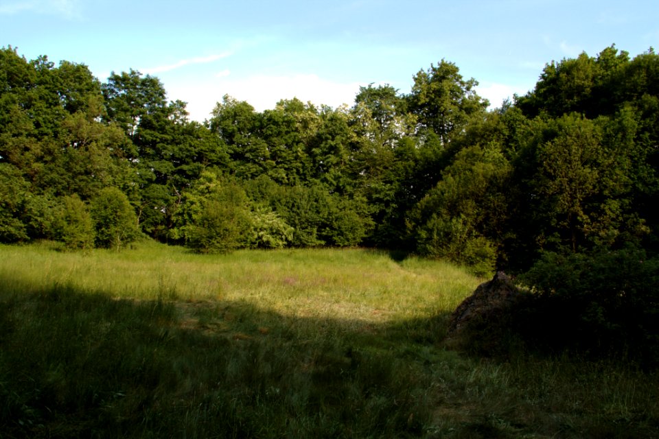 Oberlausitz 2012-05-26-7245