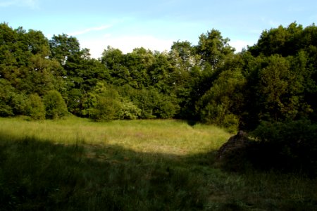 Oberlausitz 2012-05-26-7245