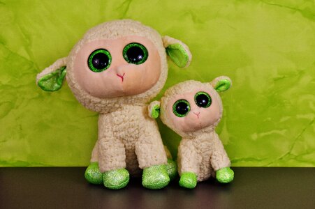 Stuffed animal cute sheep photo