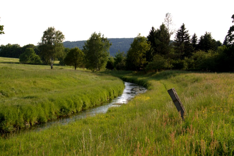 Oberlausitz 2012-05-26-7270