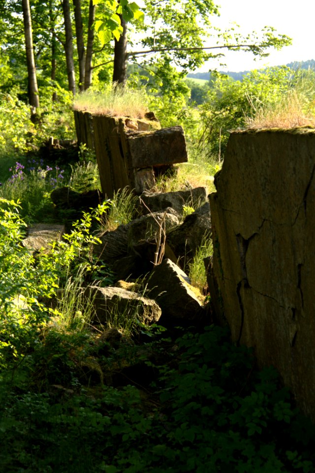 Oberlausitz 2012-05-26-7287