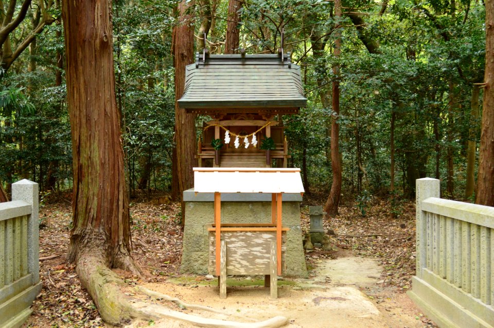 Oasahiko-jinja, Toyoukesha