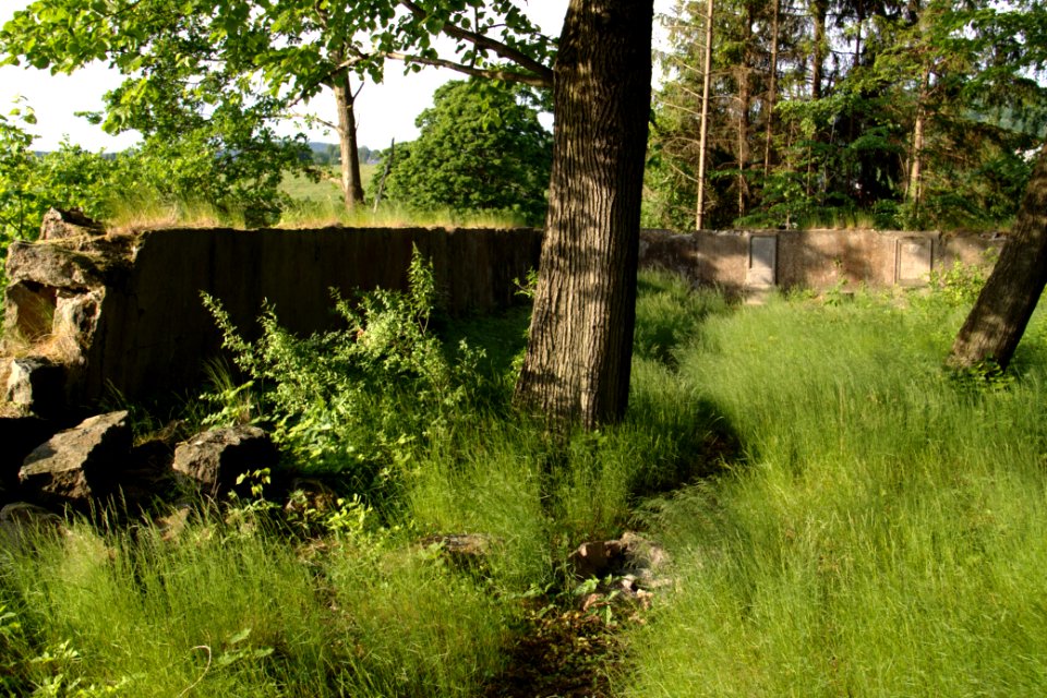 Oberlausitz 2012-05-26-7278