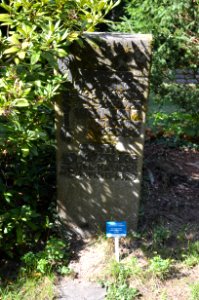 Oberrad, Waldfriedhof, Grab 4 – 451 Müßig-Walke
