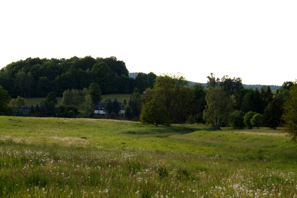 Oberlausitz 2012-05-26-7306