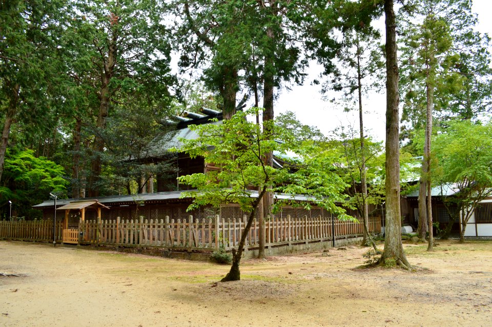 Oasahiko-jinja, honden-2
