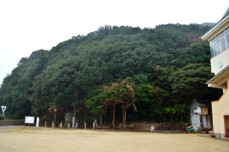 Obishima Site, enkei-1