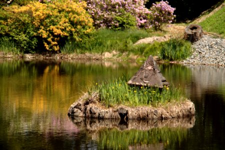 Oberlausitz 2012-05-26-6955 photo