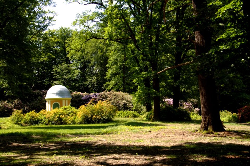Oberlausitz 2012-05-26-6956