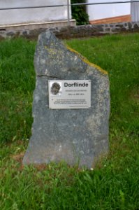 Oberquembach, Dorflinde, Usinger Straße, bei Nr. 24 (Gedenkstein)