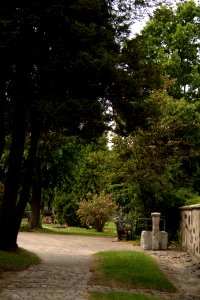 Oberlausitz 2012-05-26-7156