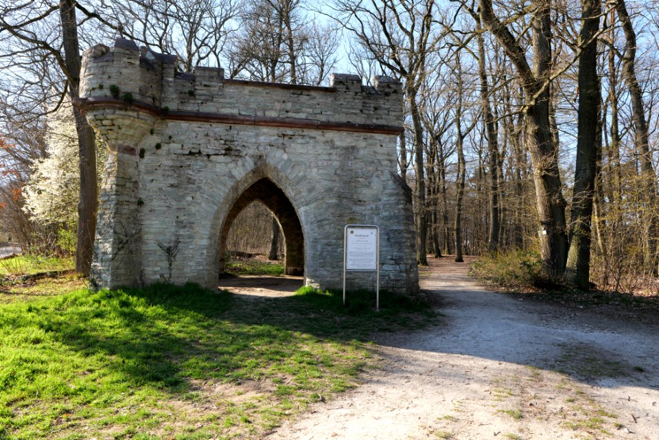 Oberurseler Stadtwald 2020-03-23 06