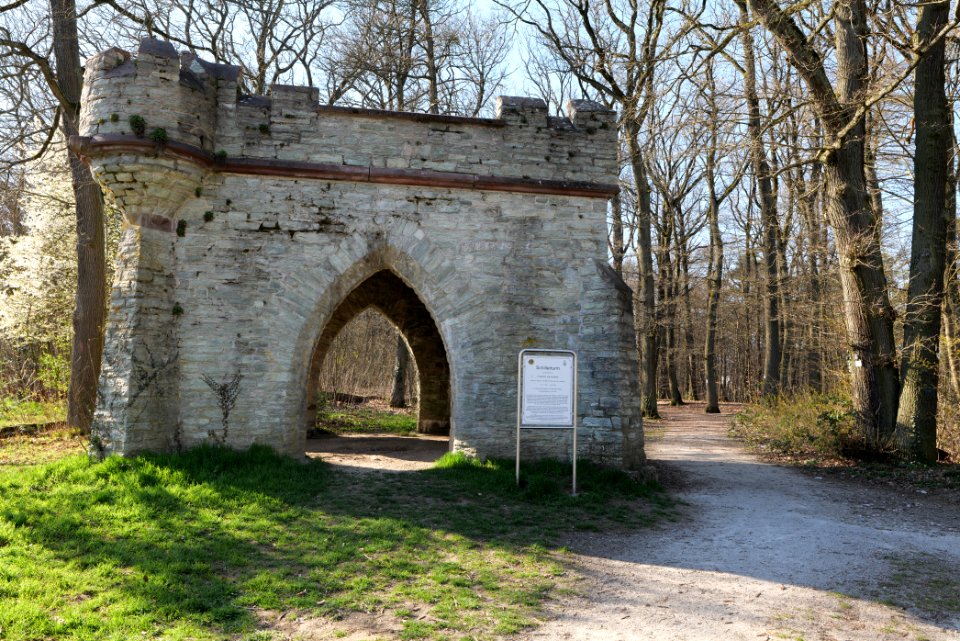 Oberurseler Stadtwald 2020-03-23 07