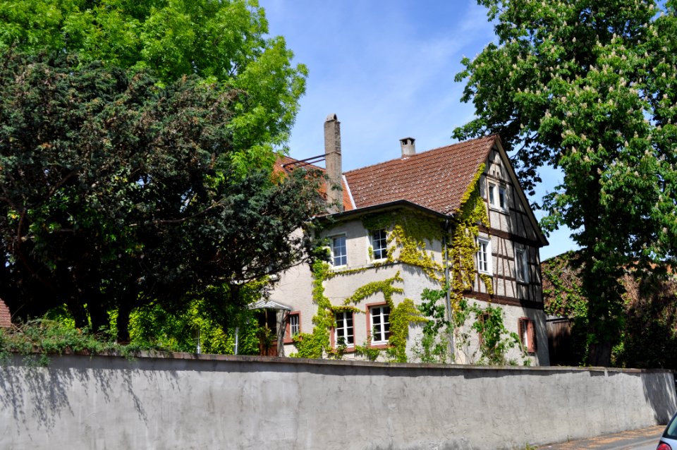 Ober-Erlenbach, Staatsdomäne Oberhof, Haupthaus (2)