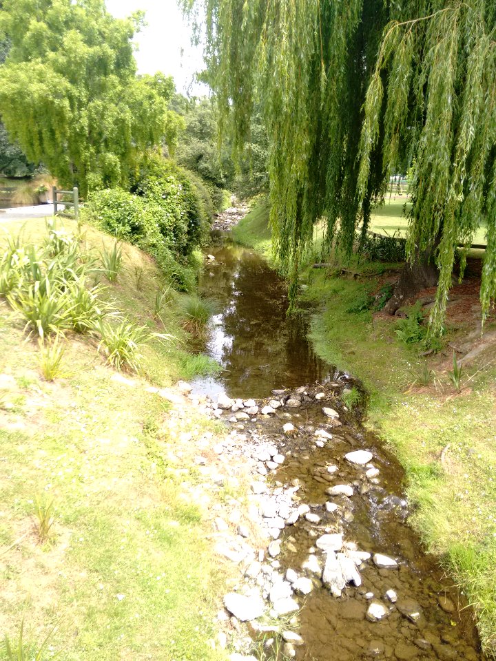 Oamaru Public Gardens - Creek (near car park)
