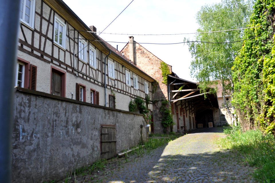 Ober-Erlenbach, Staatsdomäne Oberhof, Innenhof