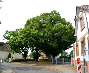 Ober-Florstadt, Hintergasse, Dorfplatz