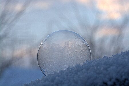 Frozen bubble frost structure photo