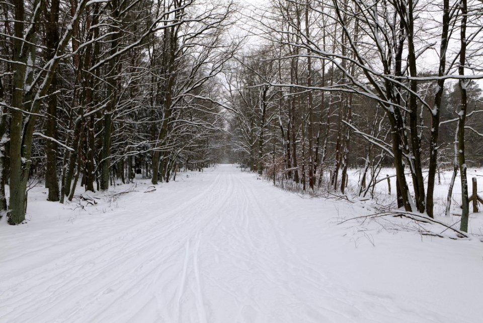 Oberjägerweg in Hakenfelde with snow 2021-02-09 01