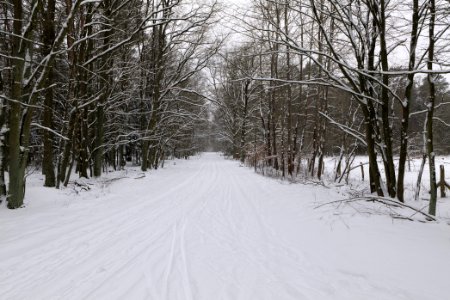 Oberjägerweg in Hakenfelde with snow 2021-02-09 01