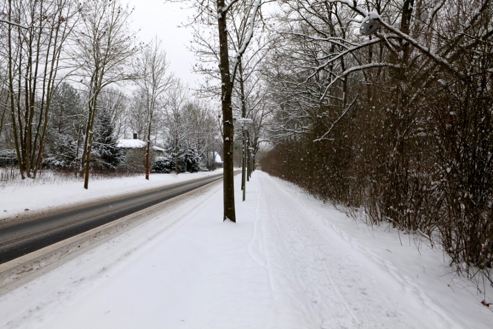 Oberjägerweg in Nieder Neuendorf with snow 2021-02-09 01