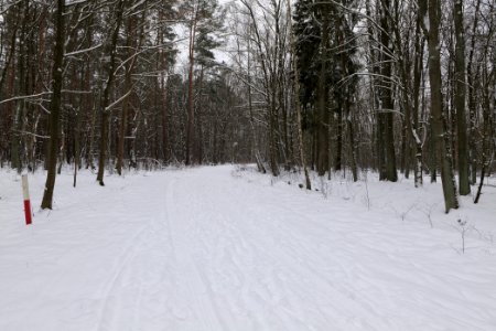Oberjägerweg in Nieder Neuendorf with snow 2021-02-09 21
