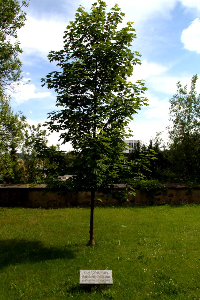Oberlausitz 2012-05-26-7143