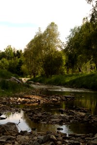Oberlausitz 2012-05-26-7191