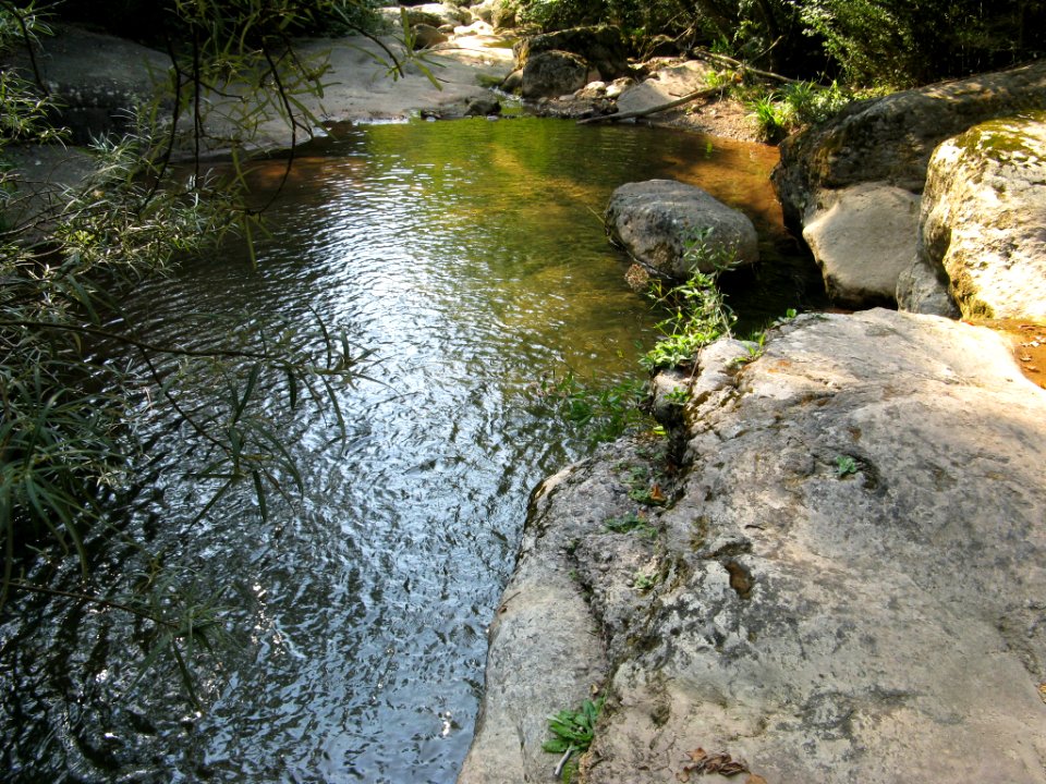 Oberlauf Fluvia 003