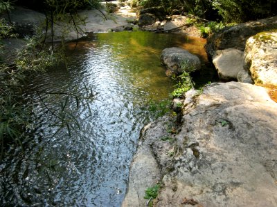 Oberlauf Fluvia 003