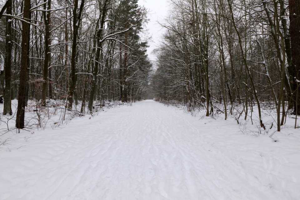 Oberjägerweg in Nieder Neuendorf with snow 2021-02-09 11