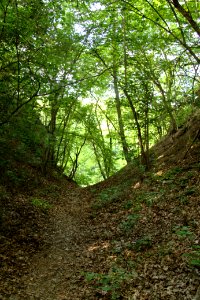 Oberlausitz 2012-05-26-7237