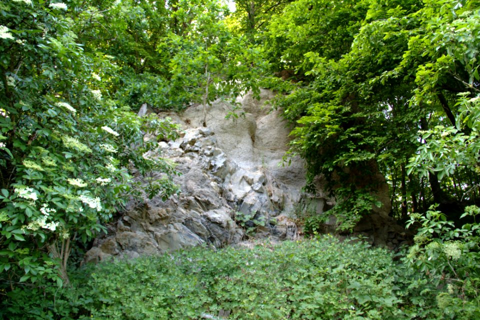 Oberlausitz 2012-05-26-7242