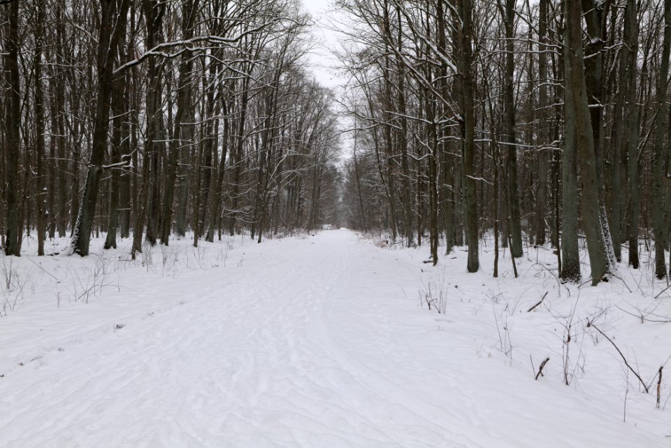 Oberjägerweg in Nieder Neuendorf with snow 2021-02-09 20