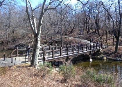 Oak Bridge March sun jeh