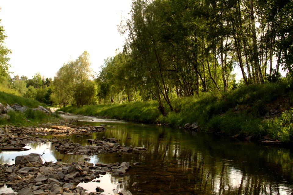 Oberlausitz 2012-05-26-7193