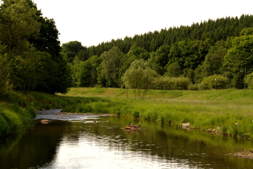 Oberlausitz 2012-05-26-7181