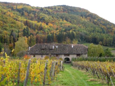 Oberhabsberger in Montiggl 1
