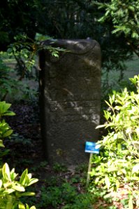Oberrad, Waldfriedhof, Grab 4 – 452 Bayer