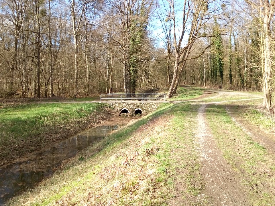 Oberholzgraben, Weiherwald, Durchlass (2)
