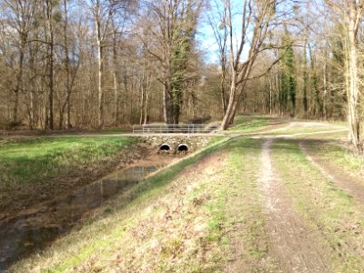 Oberholzgraben, Weiherwald, Durchlass (2)
