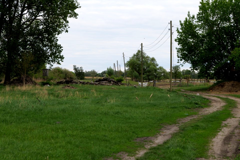 Oberes Rhinluch 2020-05-15 13