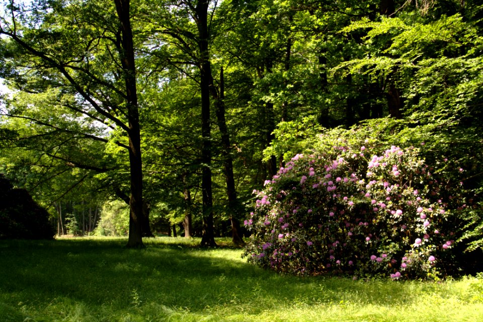 Oberlausitz 2012-05-26-6904