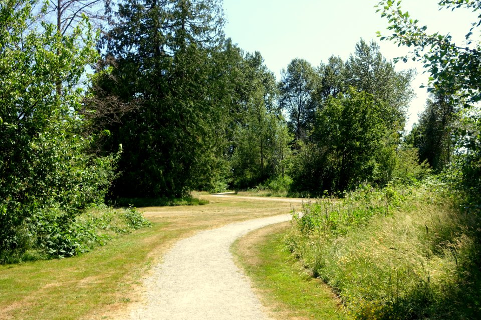 Oak Meadows Park - Vancouver, BC - DSC07455