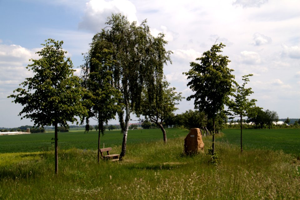 Oberlausitz 2012-05-26-6826