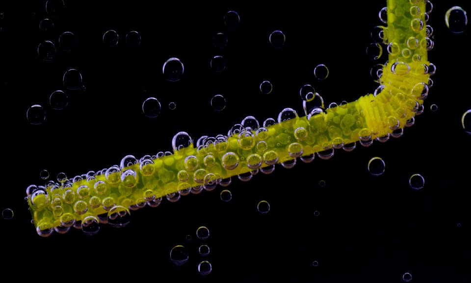 Tube plastic tubes colorful